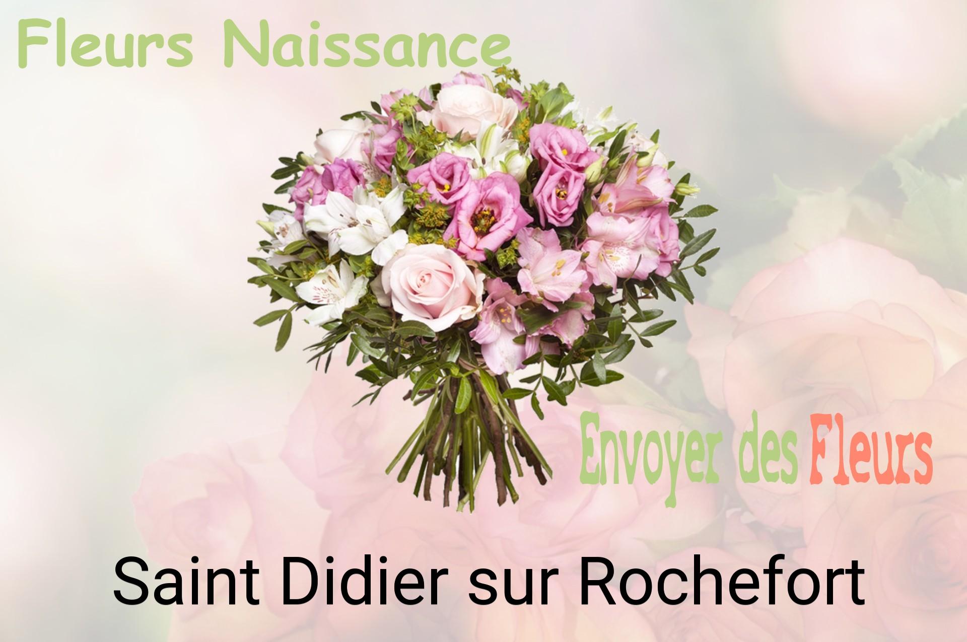 Bouquet de fleurs de naissance livré à Saint-Didier-sur-Rochefort